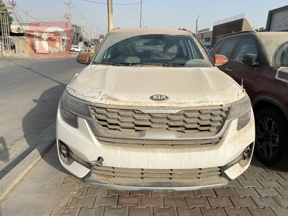 کیا سێلتۆس